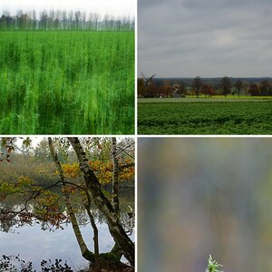 Bilder 6