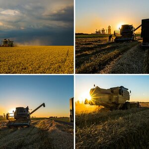 Landwirtschaft