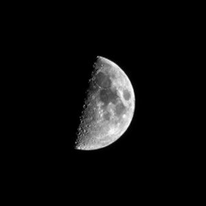 Mond