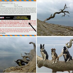 Paddys Ostsee-Tagebuch 2015/2