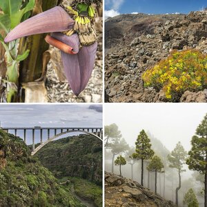 La Palma