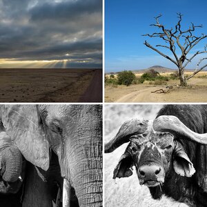 Tansania 1: Tiere und Landschaften