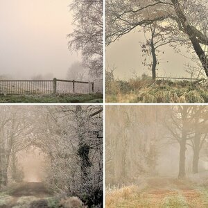 Herbstbilder/Winterbilder