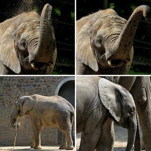 17.05.2014 Fototreffen Wuppertaler Zoo
