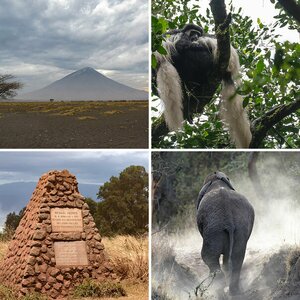 Tansania 1: Tiere und Landschaften - 2