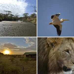 Tanzania