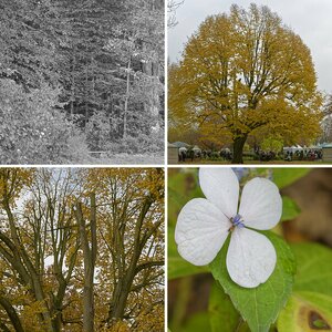 Jahreszeiten: Herbst