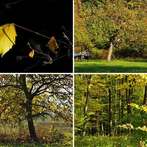 Herbstbilder II