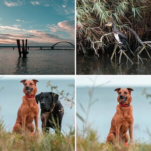 Esgaroth Bilder September 2017 Fehmarn