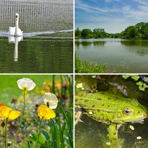 Landesgartenschau Gießen