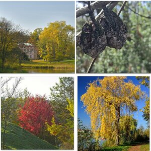 Natur-II