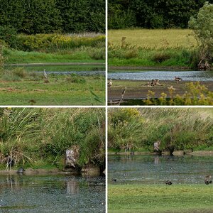 Natur 1.2 NSG Am Tibaum