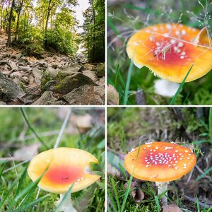 Natur