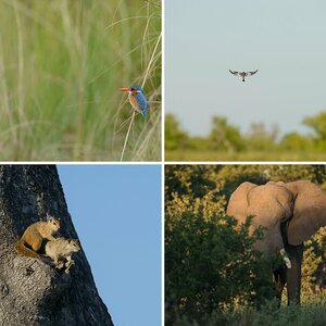 Botswana 2014