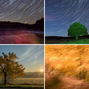 Landschaft