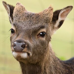Naturfotografie