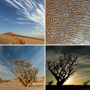 Oman – Rub al-Khali