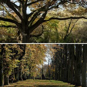 Herbst