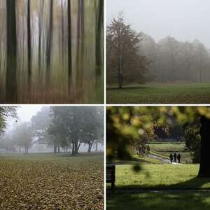 Herbst im Park