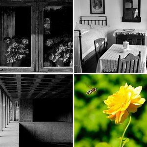 Bilder