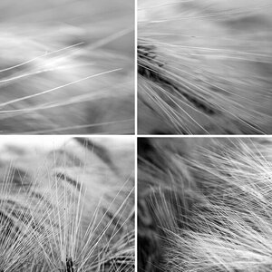 variationen