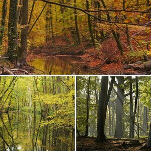 Herbst