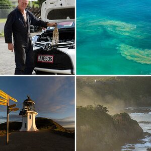 Neuseeland 2015-16
