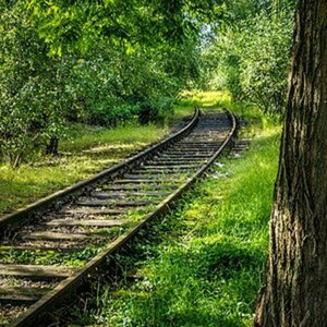 Landschaft