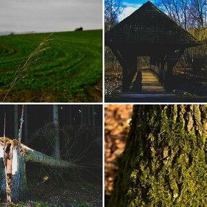 Bilder