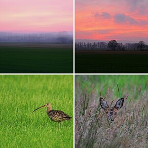 Bilder 3
