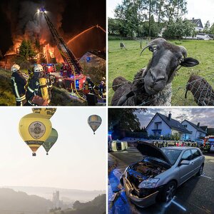 Best of 2017
