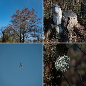 Natur
