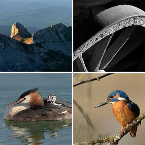 Bilder 2017