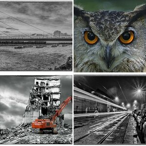 Meine 5 besten Bilder