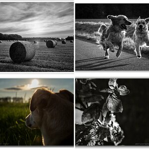 Fünf beste Bilder aus 2017? Hmm...