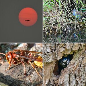 Fünf Bilder aus 2017