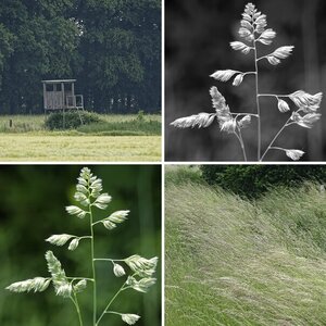 Jahreszeiten: Frühling