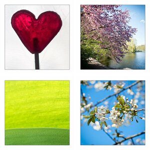365-Tage-Projekt 2018 II