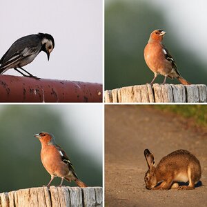 Bilder 8