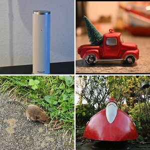 Tagesblid-2018-1