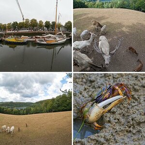Test Bilder