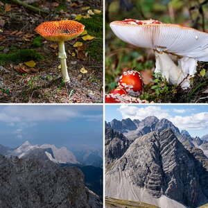 Diversa10