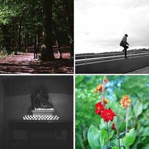 6x6 Analog