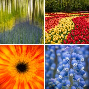 Holland