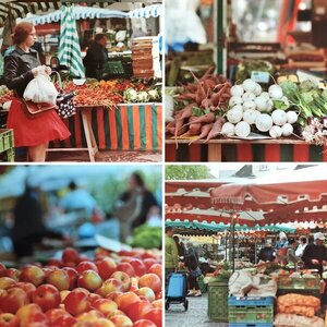 Analog Fortsetzung 14