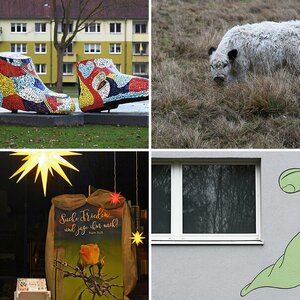 Bilder 9