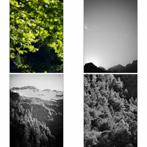 Sonogno19