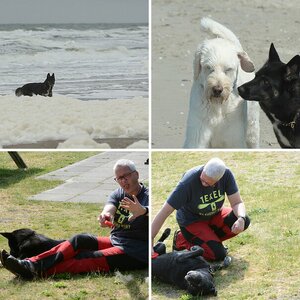 Momo Texel 2019