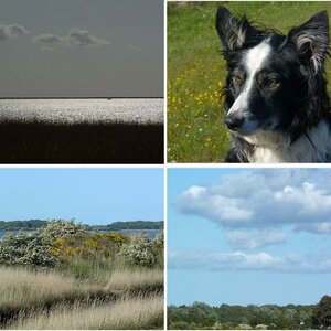 Ostsee-Tagebuch 2019