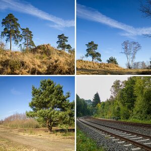 Landschaft und Natur